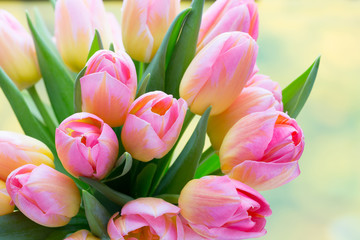 Spring flowers. Living coral tulip bouquet on the bokeh background.