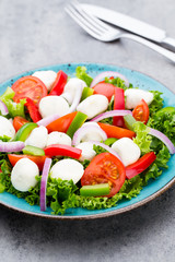 Vegetable salad with cheese mozzarella, tomatoes, basilikum and spice.