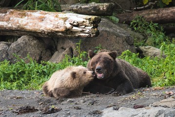 Und noch ein Küsschen ?, Alaska
