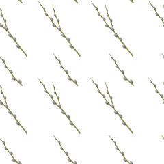Fototapeta premium Seamless wallpaper, willow twigs with pussy-willow