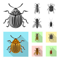 Isolated object of insect and fly sign. Set of insect and element stock vector illustration.