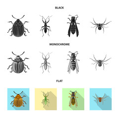 Vector design of insect and fly sign. Collection of insect and element vector icon for stock.
