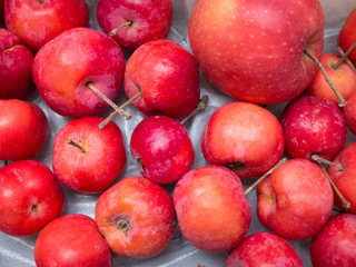 Fototapeta na wymiar red apples on a shop window