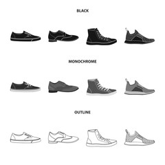 Vector illustration of shoe and footwear logo. Set of shoe and foot vector icon for stock.