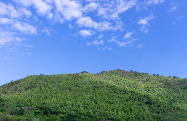 Fototapeta na wymiar bright green mountain against blue sky with copy space on sky