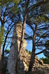 Fototapeta premium Alte Burg
