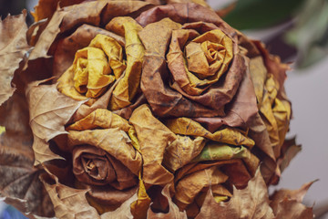 bouquet of colorful autumn leaves isolated