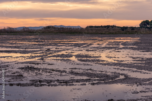 Beautiful Golden Sunrise In A Flooded Field In The Natural