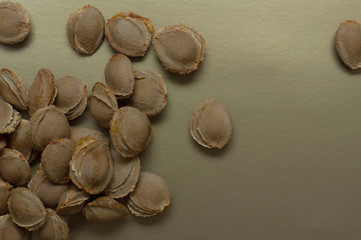 apricot seeds, on gold background