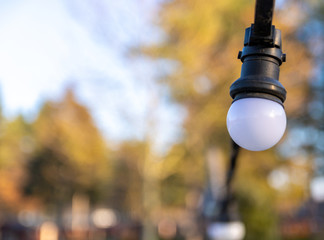 outdoor light bulbs hung up at winter season