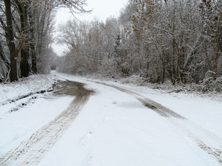 Snow covered road in the countryside after snowfall. Winter landscape with rural street, tracks of tire and trees
