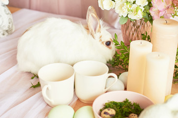 Fototapeta na wymiar Happy Easter! Holiday Decorations. Beautiful festive Easter table setting with bunny, flowers and eggs. Spring color theme, copy space.Easter Greeting Card Template. Kitchen interier. 