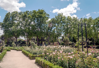 Fototapeta na wymiar Garden of the Retiro Park in Madrid in spring