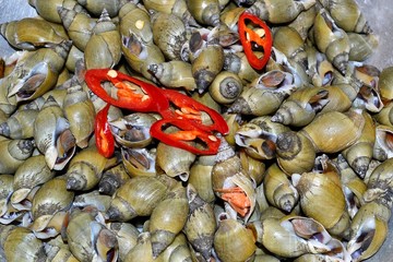 Shells with red pepper
