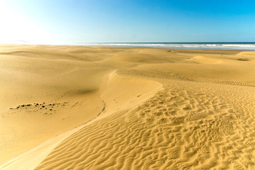 beach of Kaouki on the atlantic coast of the Morocco