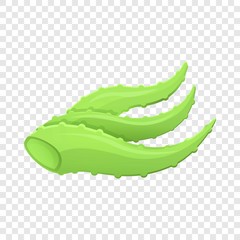 Aloe plant icon. Cartoon of aloe plant vector icon for web design for web design
