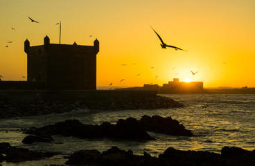 Sunset on the fortified walls of Essaouira in Morocco