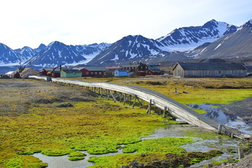 Spitzbergen Ny Alesund Norwegen