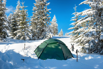 Green tent in winter forest © Pavlo Vakhrushev