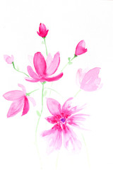 Fototapeta na wymiar Hand drawn watercolor pink flower