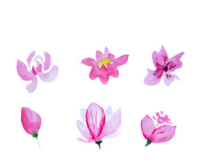 Obraz na płótnie Canvas Watercolor hand drawn pink flowers