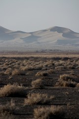 Naklejka premium désert iranien