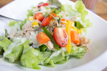 Fresh vegetable salad