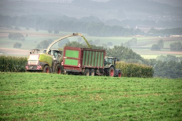 Landwirtschaft bei der Maisernte © Thomas Otto