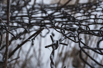 Frozen prickly grid covered with snow. The fence of the grid blocking path. In the winter.