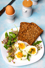Healthy breakfast: Hard boiled eggs, fresh radish sprouts, arugula and dark whole wheat  bread with herb sauce, on blue background