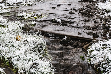 Eternally warm stream flowing from a hot spring in winter. Non-freezing winter grass.