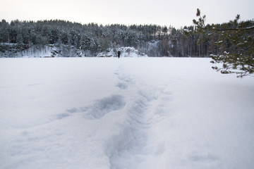 Fototapeta na wymiar fresh footprints in the in the snow covered landscape