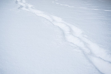 fresh footprints in the in the snow covered landscape