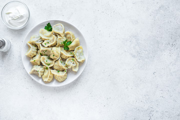 Homemade Meat Dumplings