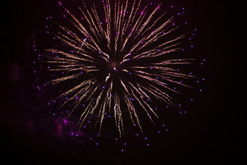 Fototapeta premium fireworks in the night sky