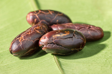 cocoa beans peeled on a green leaf, close-up