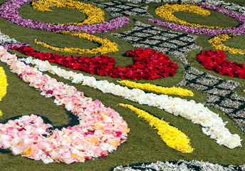 Garden with flower petals in La Orotava on the island of Tenerife.