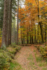 Hiking Trails in Bavaria