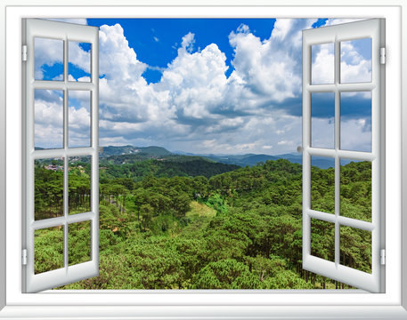 Fototapeta jungle view from the top view from the window