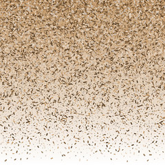 Gold glittery frame with white background. Sparkle golden vector background.