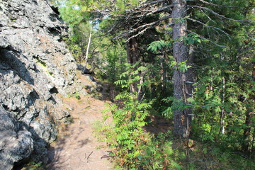 mountain path in the forest
