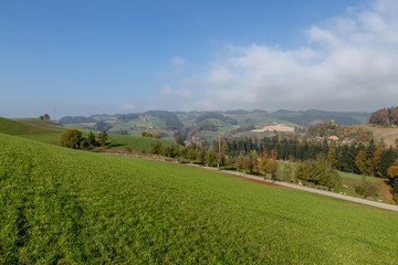 Field in Switzerland