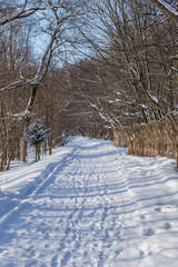 Russia, Tatarstan, Kazan. Winter landscape in the suburbs of Kazan.