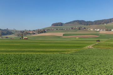 Countryside in Switzerland