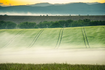Landscape in the morning with mist and sunrise light. Nice rural summer scenery