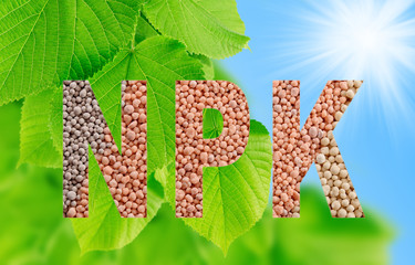 NPK letters made of mineral fertilizers on green leaves background