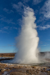 Geyser in Iceland