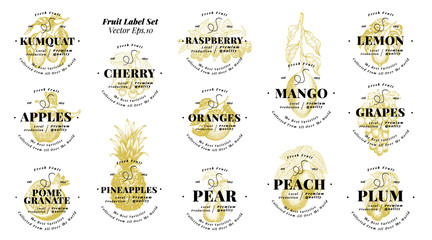 Berry and fruit labels set. Vintage style design. Hand drawn vector illustrations. Set templates price tags for shops and markets of organic vegetarian food. Hand drawn nature objects.