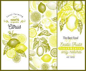 Vintage citrus banner template set. Lemon tree design. Hand drawn vector fruit illustration. Engraved style menu cover.