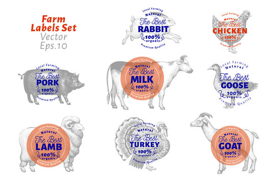 Labels with farm animals. Hand drawn animals set templates. Vector vintage illustrations. Can be use for packaging, menu for shops, restaurants and markets of organic food.